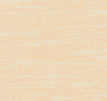 Loymina Amazonia Ins8 003